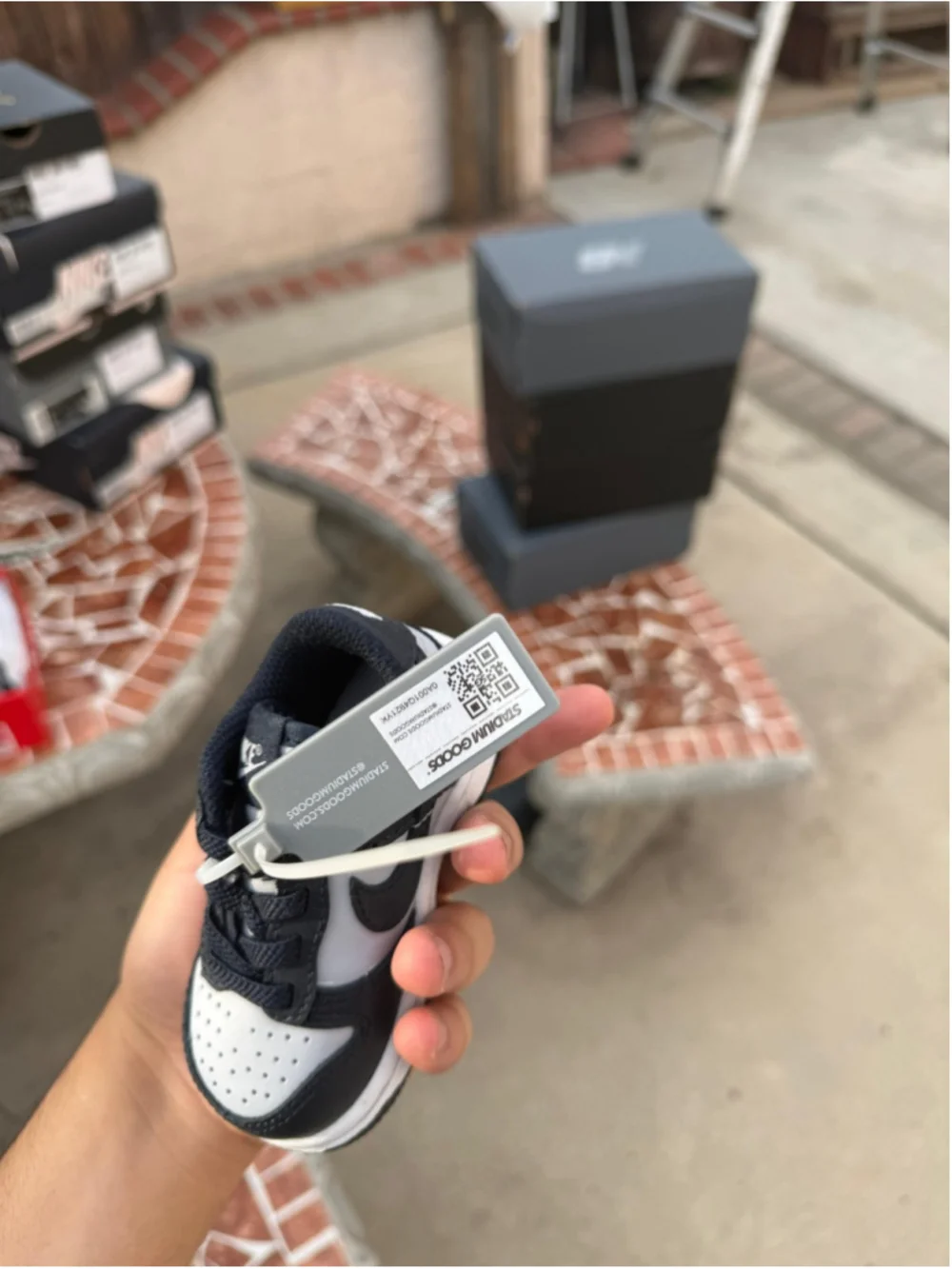 NiNike Dunk Low (TD) 